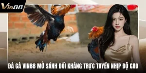 Đá Gà VIN88