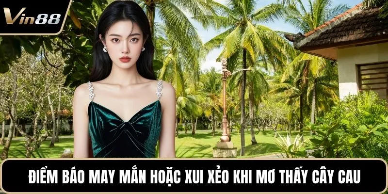 Điểm báo may mắn hoặc xui xẻo khi mơ thấy cây cau