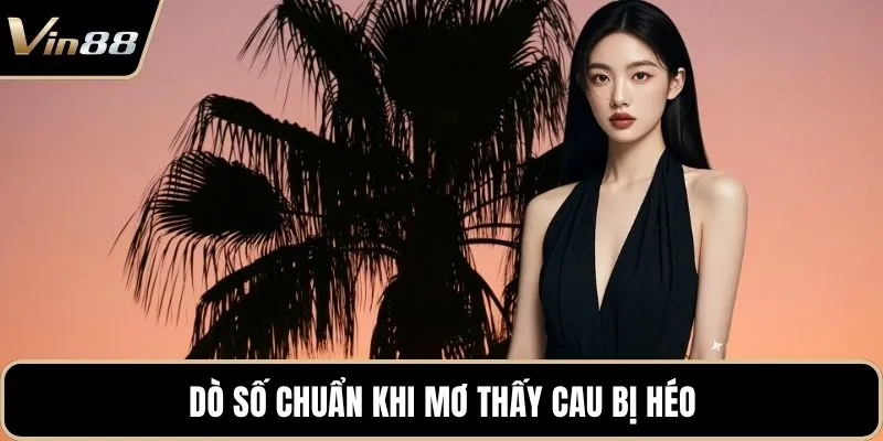 Dò số chuẩn khi mơ thấy cau bị héo