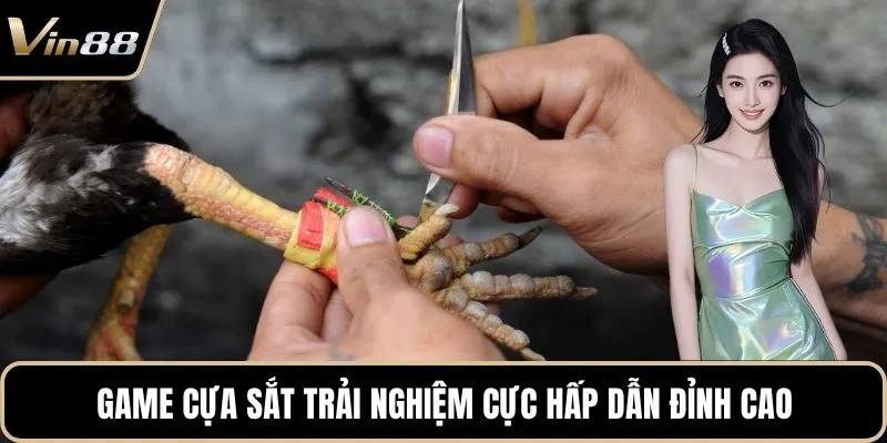 Game cựa sắt trải nghiệm cực hấp dẫn đỉnh cao
