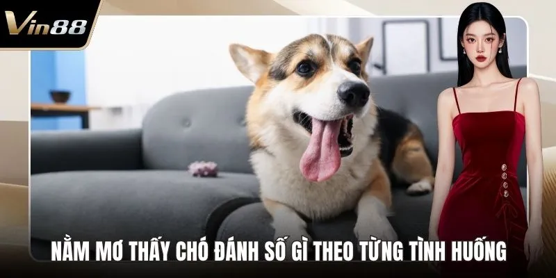 nằm mơ thấy chó đánh số gì