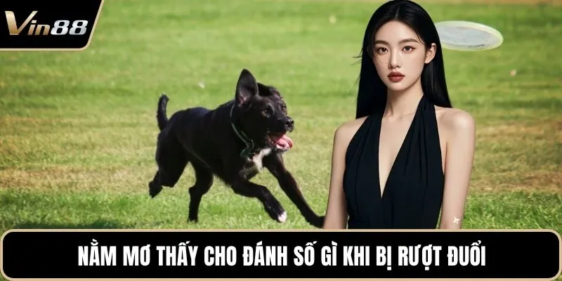Nằm mơ thấy cho đánh số gì khi bị rượt đuổi