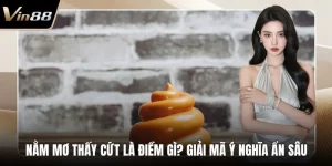 nằm mơ thấy cứt