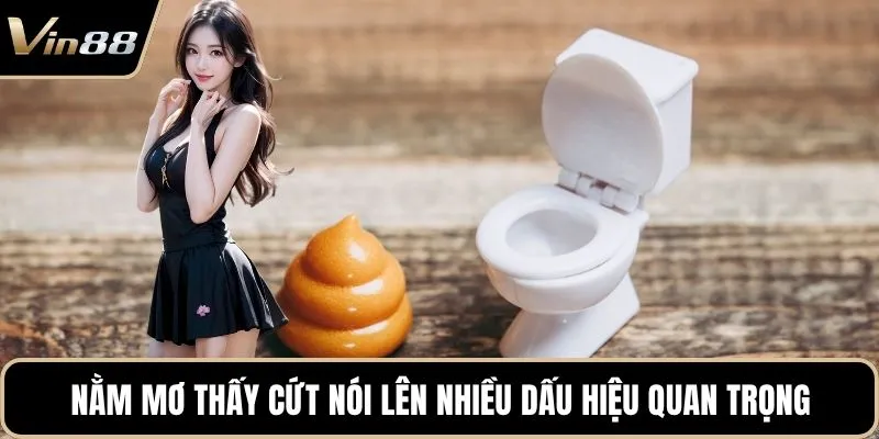 Nằm mơ thấy cứt nói lên nhiều dấu hiệu quan trọng