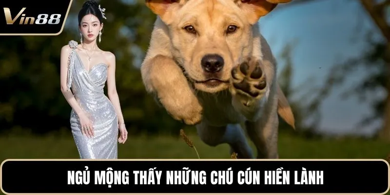 Ngủ mộng thấy những chú cún hiền lành