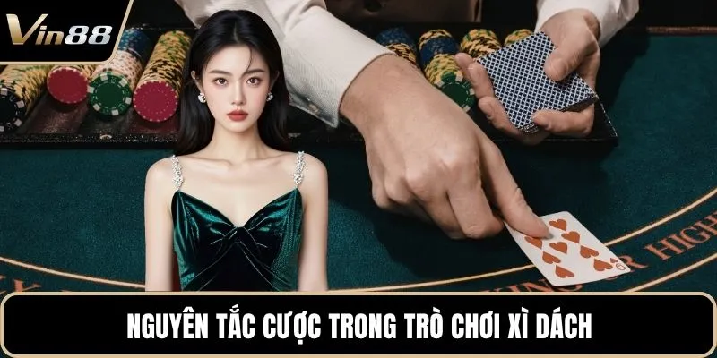 Nguyên tắc cược trong trò chơi xì dách