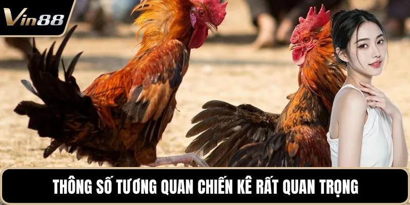 Thông số tương quan chiến kê rất quan trọng